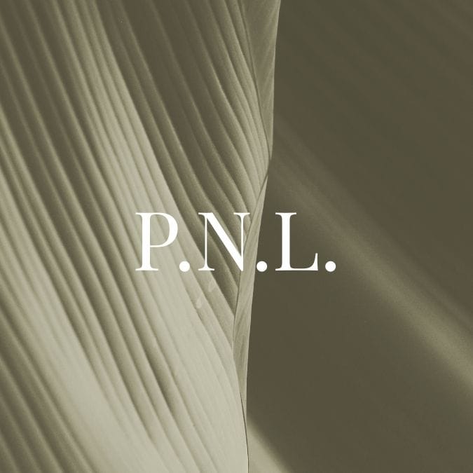P.N.L.